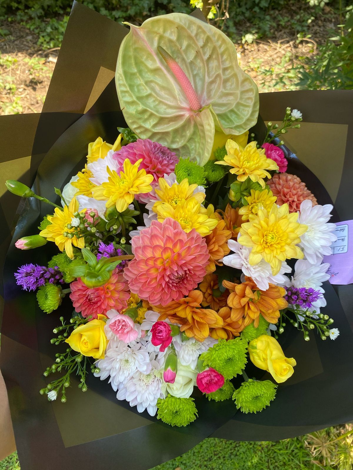 Our products / Shop image 1